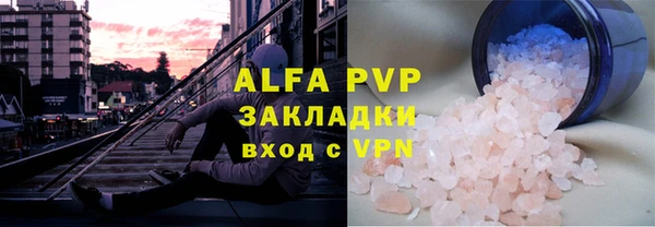 индика Беломорск