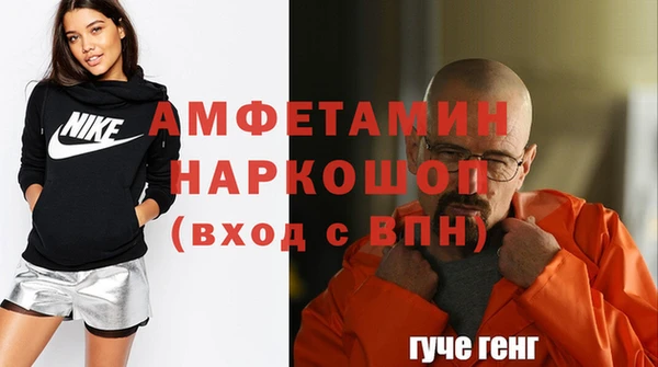 индика Беломорск