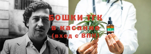 ПСИЛОЦИБИНОВЫЕ ГРИБЫ Белоозёрский