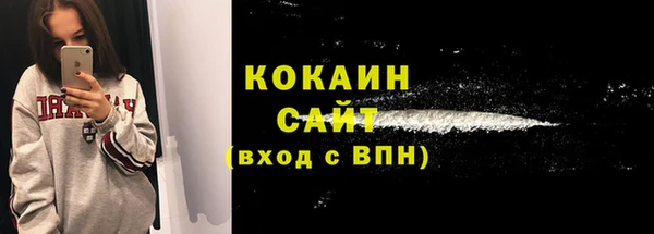 индика Беломорск