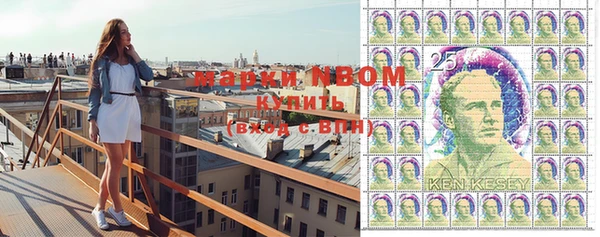 ПСИЛОЦИБИНОВЫЕ ГРИБЫ Белоозёрский