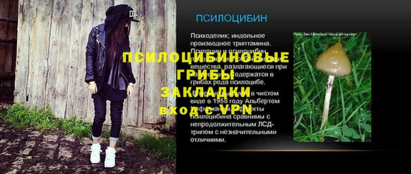 марки lsd Белокуриха