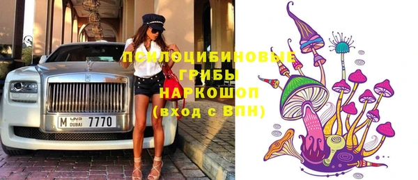 ПСИЛОЦИБИНОВЫЕ ГРИБЫ Белоозёрский