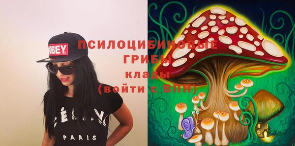 ПСИЛОЦИБИНОВЫЕ ГРИБЫ Белоозёрский