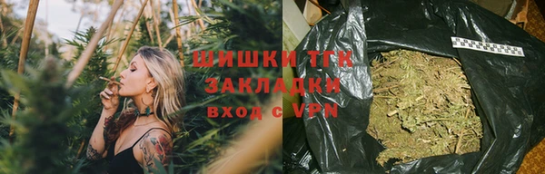 стаф Богородицк