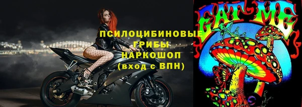стаф Богородицк