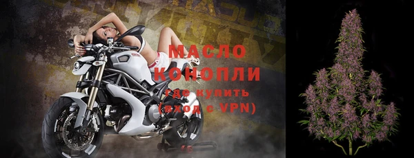 индика Беломорск