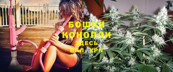 марки lsd Белокуриха